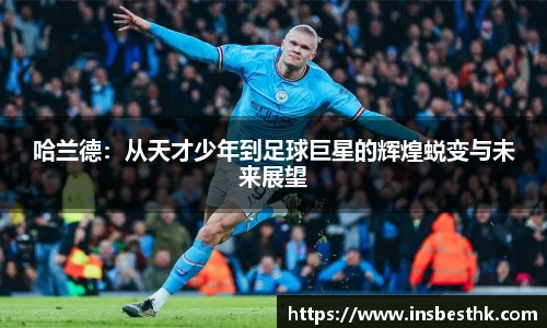 BG大游