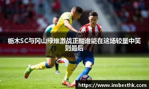 枥木SC与冈山绿雉激战正酣谁能在这场较量中笑到最后